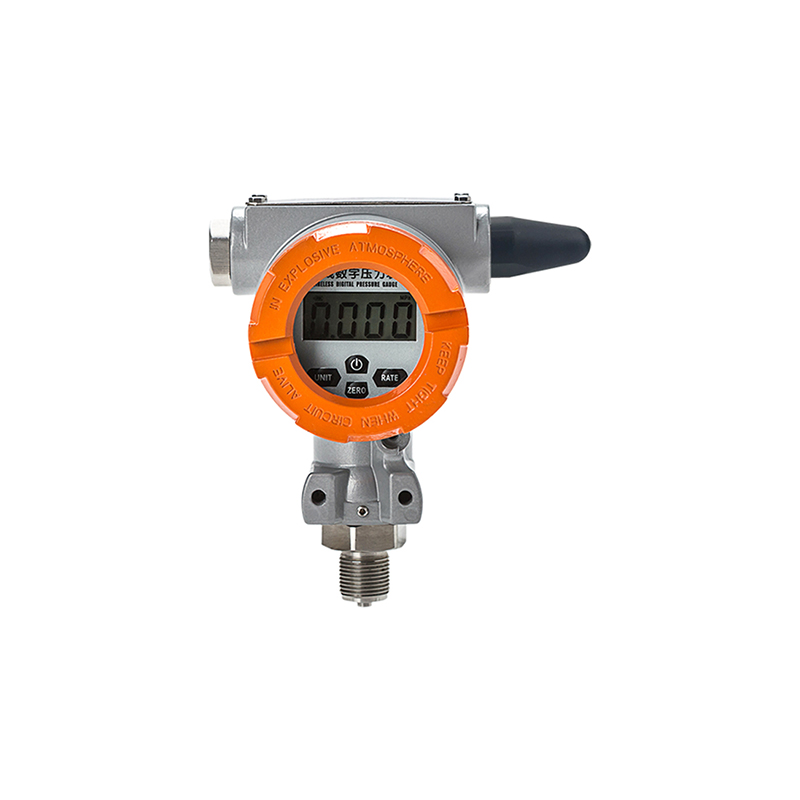 MD-S270 無線數字壓力表